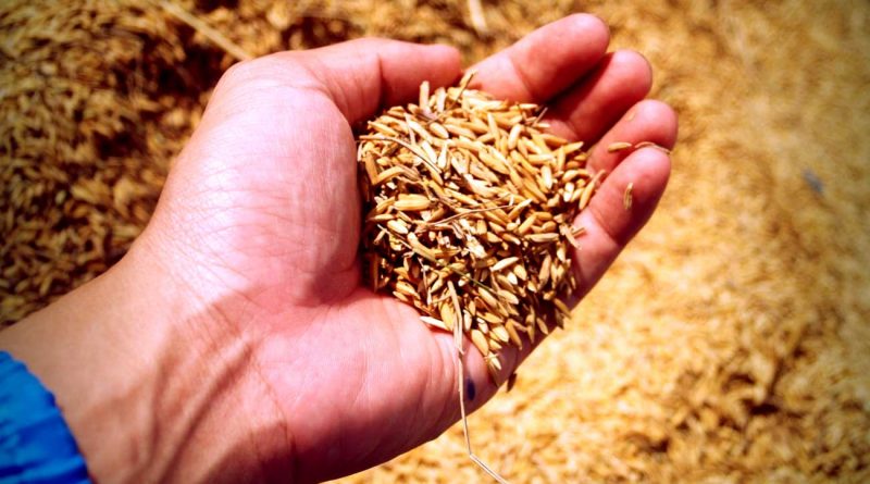 Impressive health benefits of Whole grains