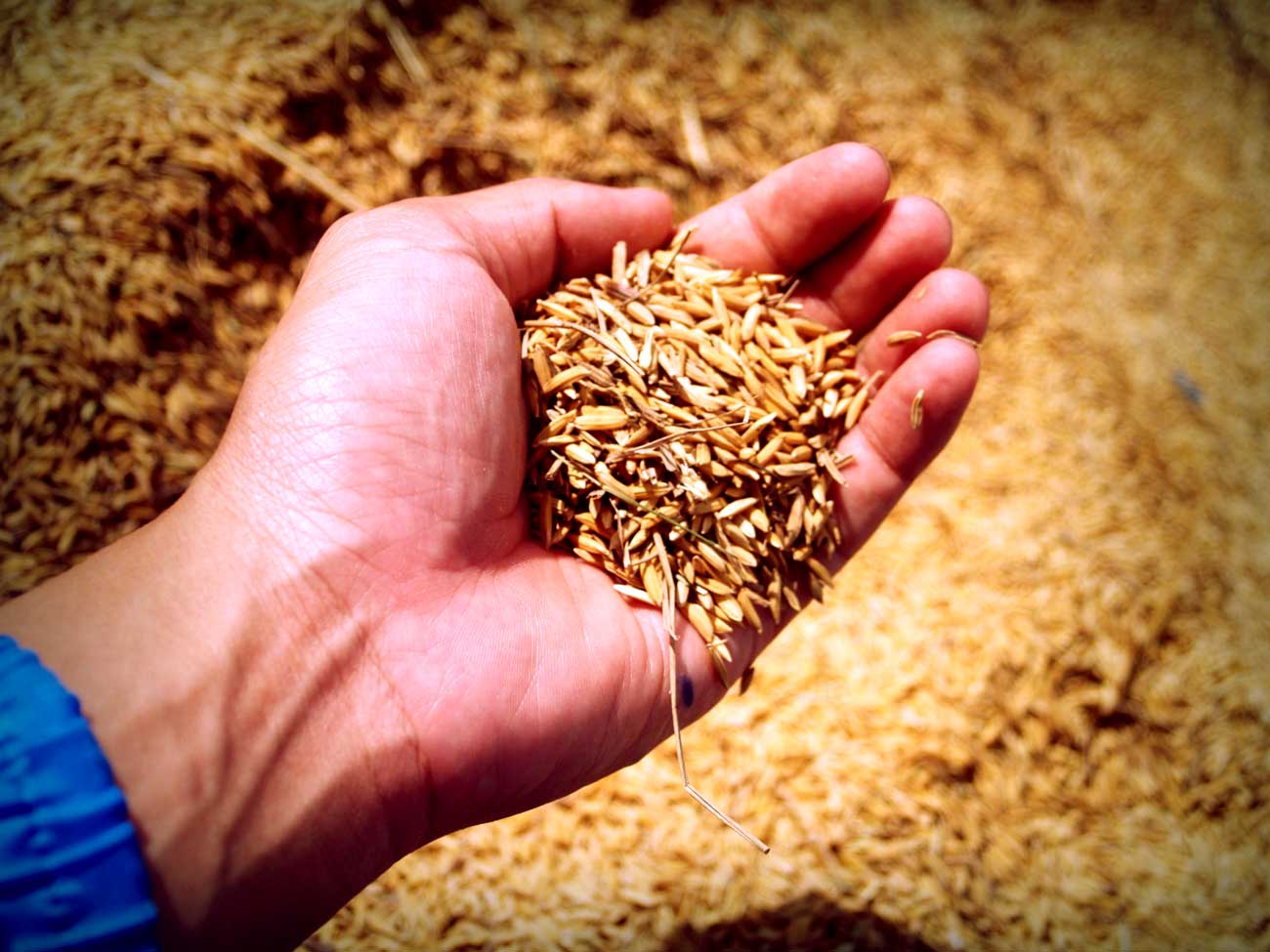 Impressive health benefits of Whole grains