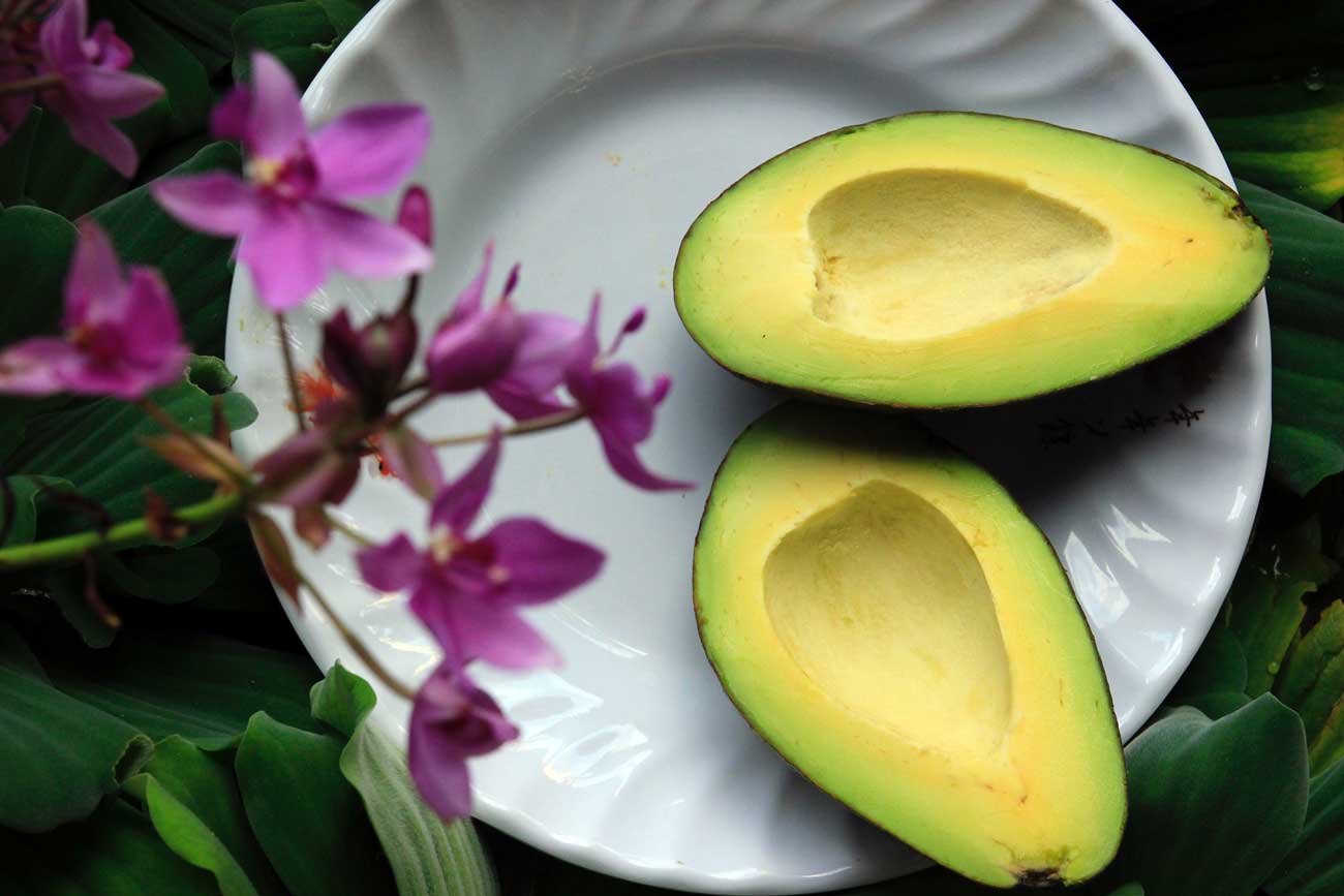 health benefits avocado