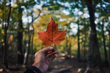 best way to be in canada